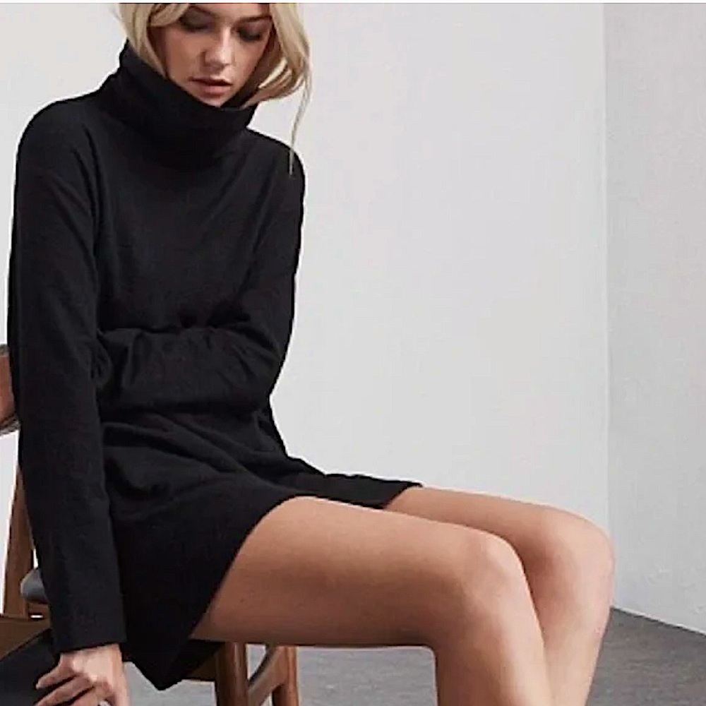 Reformation Greenland Turtleneck Dress